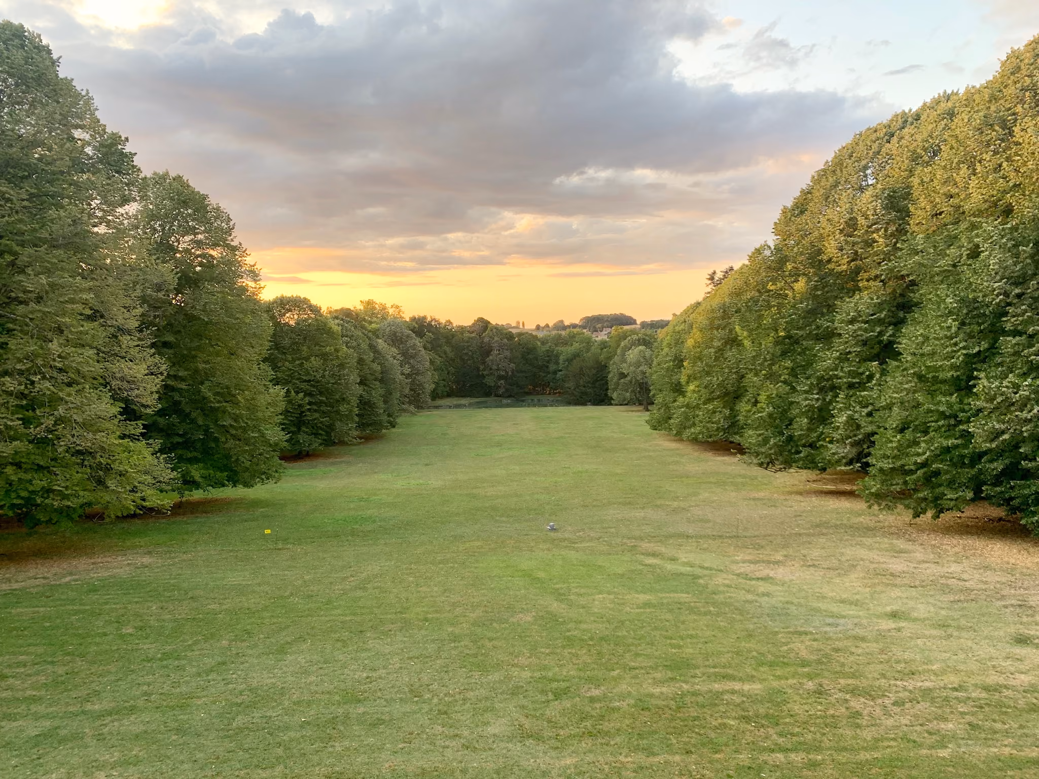 Longue perspective de pelouse bordée d'arbres centenaires au coucher du soleil